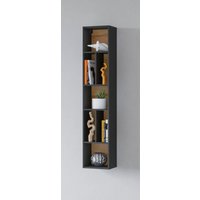 INOSIGN Wandregal "Toledo,Höhe 159 cm stilvolle Bücherregal, viel Stauraum" Wandregal Masse 32/159/25 (B/H/T) INOSIGN Wandregal "Toledo,Höhe 159 cm stilvolle Bücherregal, viel Stauraum" Wandregal Masse 32/159/25 (B/H/T) von Inosign