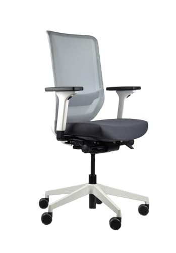 Trendoffice to-sync pro, ergonomischer Bürostuhl, mit Armlehnen, modernes Design, Homeoffice, umweltzertifiziert, by Dauphin (Weiß/Grau, Netz-Rückenlehne) von Trendoffice