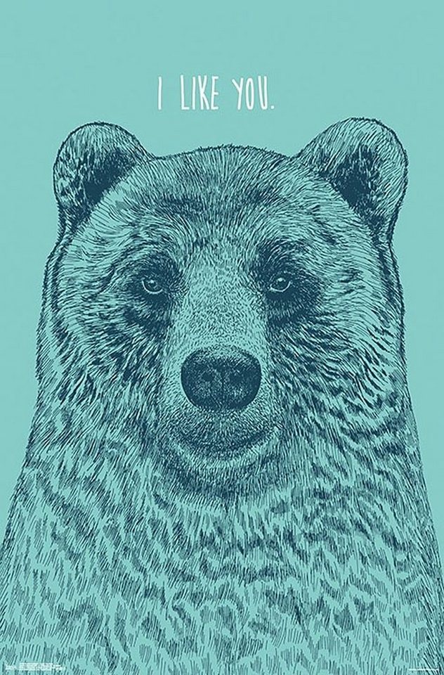 Trends International Poster I Like You Bear Poster Rachel Caldwell 56,8 x 86,4 cm von Trends International