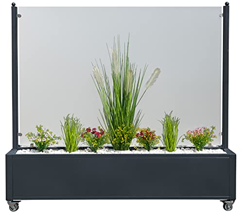 Trendyshop365 Mobiler Windschutz Anthrazit Breite 200cm mit Rollen Klarglasscheibe Eckig Vormontiert Pflanzkasten XXXL von Trendyshop365