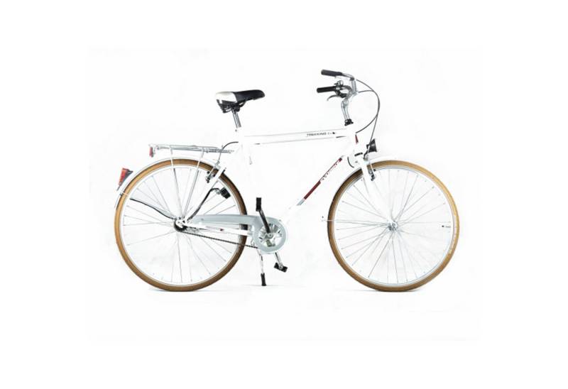 Tretwerk Trekkingrad Estate, Trekkingrad 28 Zoll Urban Bike Damen oder Herren 175 - 185 cm Fahrrad von Tretwerk