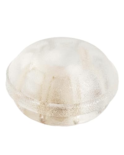 Trevendo Türstopper - selbstklebend (10 Stück) - Stoßschutz in Macarons-Form für Wände, Türen und Möbel - Wandpuffer für Türanschlag und Türklinkenschutz - transparent von Trevendo