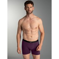 Trigema Boxer "TRIGEMA Pants mit praktischem Gummibund" 1 Stk. tlg. von Trigema