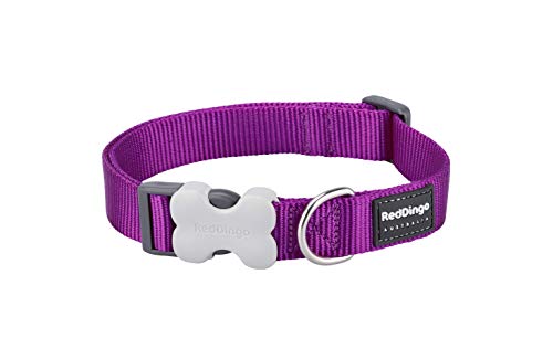 Trilus DC-ZZ-PU-SM Nylon Hundehalsband, violett, XS von Red Dingo