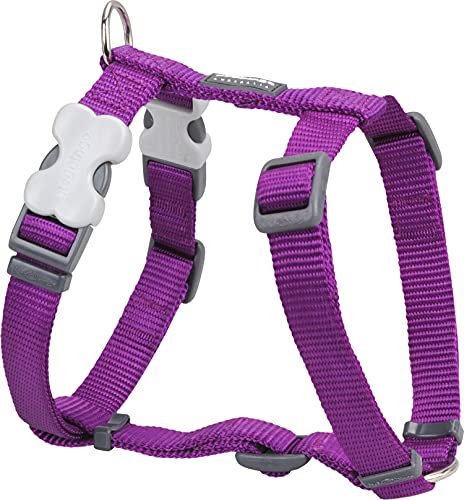 Trilus DH-ZZ-PU-LG Nylon Hundegeschirr, violett, L von Red Dingo