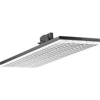 Trilux 7108540 LightP G2 #7108540 LED-Lichtträger 42W LED Grau 1St. von Trilux