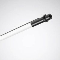 Trilux 7796651 So-Tube G3 D LED-Deckenleuchte LED 28W Schwarz Trilux 7796651 So-Tube G3 D LED-Deckenleuchte LED 28W Schwarz von Trilux