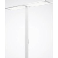 Trilux LuceoS S-T #7700558 7700558 LED-Stehlampe LED ohne 180W Weiß Trilux LuceoS S-T #7700558 7700558 LED-Stehlampe LED ohne 180W Weiß von Trilux