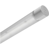 Trilux Tugra 15 LED-Feuchtraumleuchte LED LED Neutralweiß Grau von Trilux