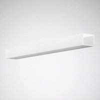 Trilux Wanne Acuro 114 PC Ersatz - 6048400 von Trilux GmbH & Co. KG