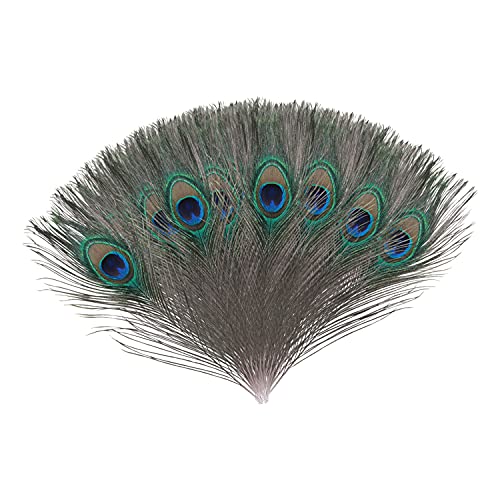 Trimming Shop - 10 Stück / 25-30 cm Pfauenaugen Schwanzfedern - Pfau Auge Federn Lange, Natürliche Deko zum Basteln, Heimdekoration, für Kostüme, Hochzeitsmittelpunkte - Blau - 10-12 Zoll von Trimming Shop