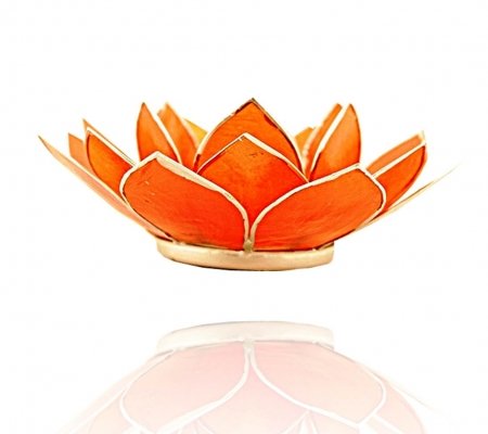 Trimontium TL12002S Teelichthalter in Form Einer dreiblättrigen Lotusblüte, Durchmesser Circa 14 cm, Capiz-Muschel, Info, Aluminium, Orange, ca. 14 x 14 x 5 cm Trimontium TL12002S Teelichthalter in Form Einer dreiblättrigen Lotusblüte, Durchmesser Circa 14 cm, Capiz-Muschel, Info, Aluminium, Orange, ca. 14 x 14 x 5 cm von Trimontium
