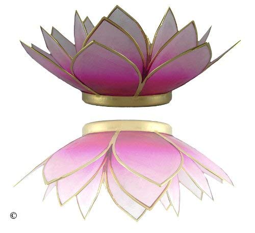 TRIMONTIUM Teelichthalter Pinkschimmer in Form Einer dreiblättrigen Lotusblüte, Capiz-Muschel, weiß/pink, 14 x 14 x 8 cm von TRIMONTIUM