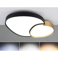 Große led Deckenleuchte rise mit Fernbedienung Schwarz Gold, Breite 77cm Große led Deckenleuchte rise mit Fernbedienung Schwarz Gold, Breite 77cm von Trio Leuchten