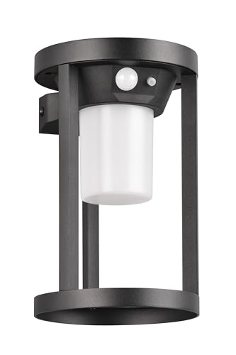 Trio Leuchten LED Solar Außen Wandleuchte Carmo 241069132, Aluminium Druckguss Schwarz matt, Schirm Kunststoff Weiß, inkl. 2 Watt LED, Bewegungssensor Trio Leuchten LED Solar Außen Wandleuchte Carmo 241069132, Aluminium Druckguss Schwarz matt, Schirm Kunststoff Weiß, inkl. 2 Watt LED, Bewegungssensor von Trio Leuchten