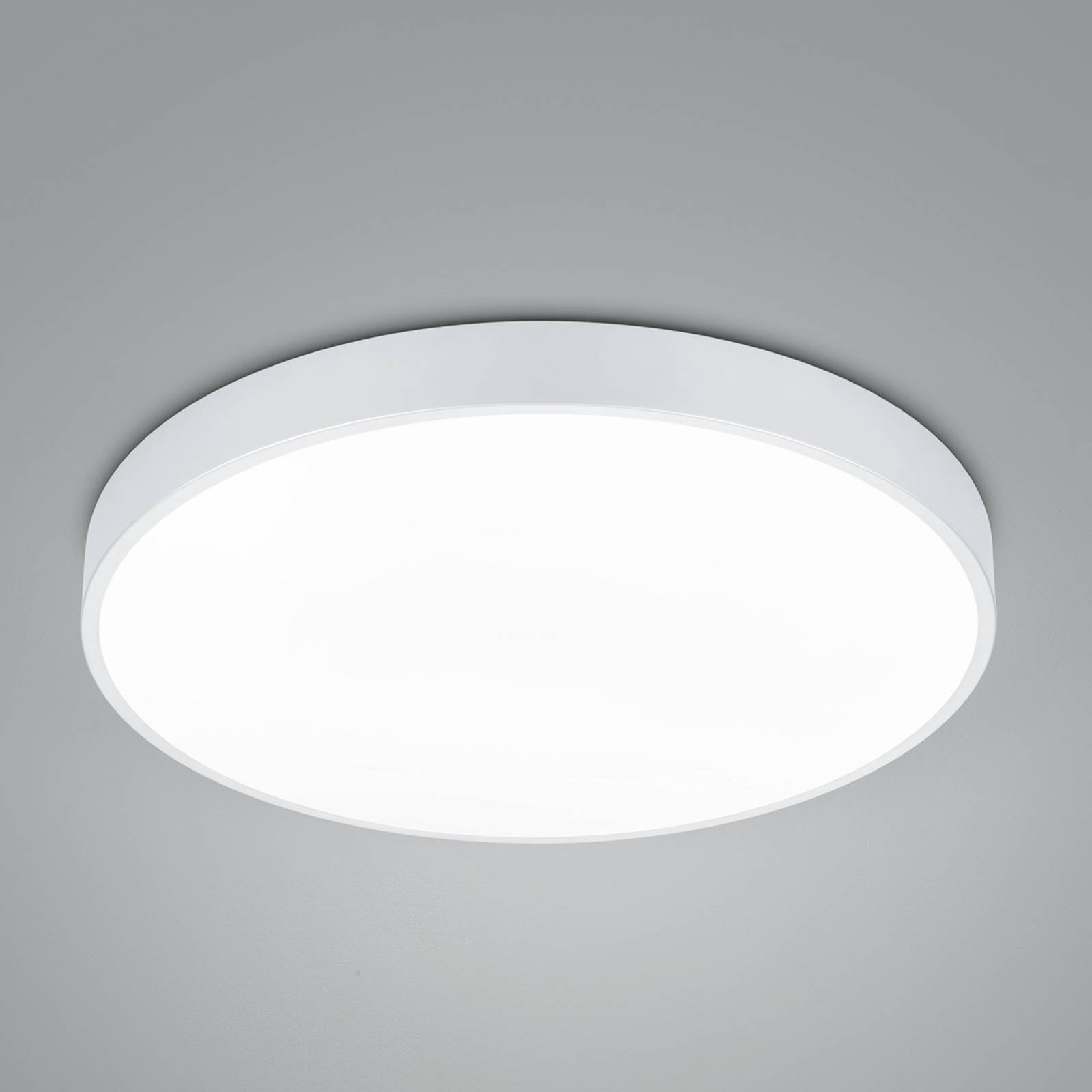 LED-Deckenlampe Waco, CCT, Ø 49,5 cm, weiß matt von Trio Lighting