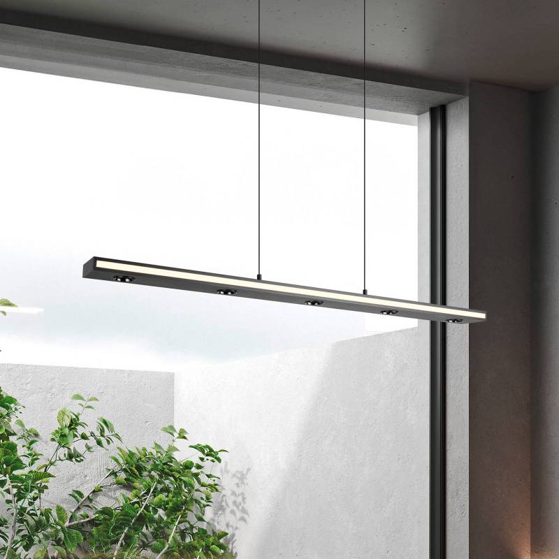 LED-Hängelampe Graham, schwarz, Metall, up/down, CCT, Dimmer von Trio Lighting