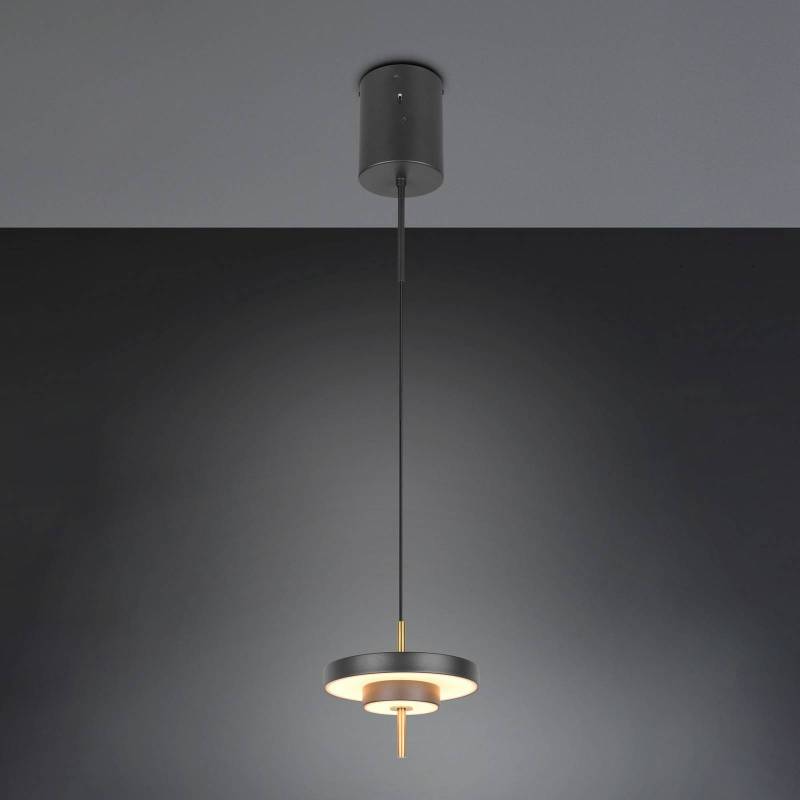 LED-Hängelampe Keaton schwarz/goldfarben, Ø 20 cm Metall CCT von Trio Lighting