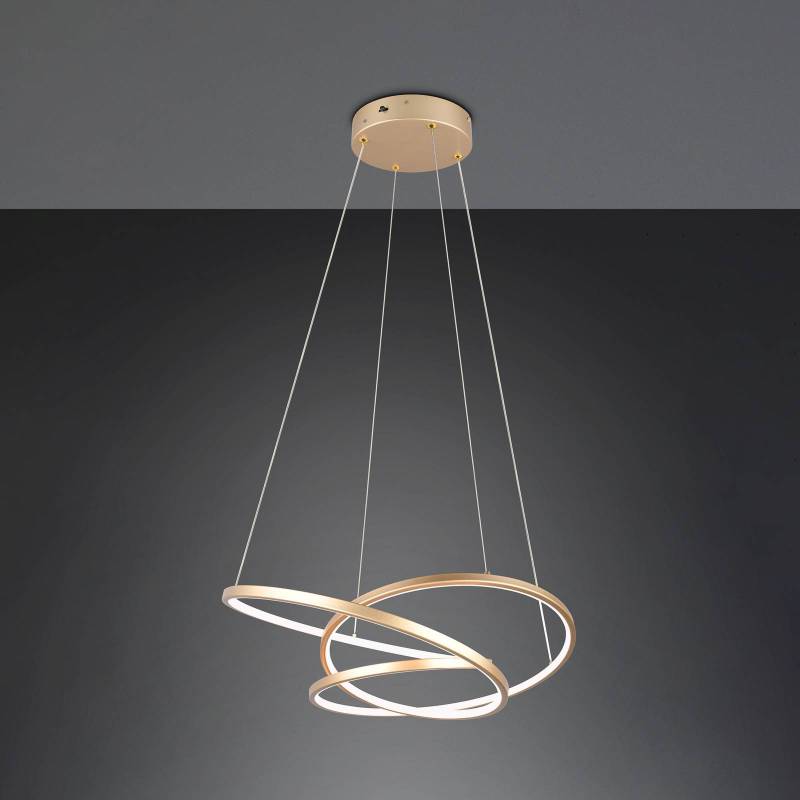 LED-Hängeleuchte Darvin Länge 64 cm, goldfarben, Metall, CCT von Trio Lighting