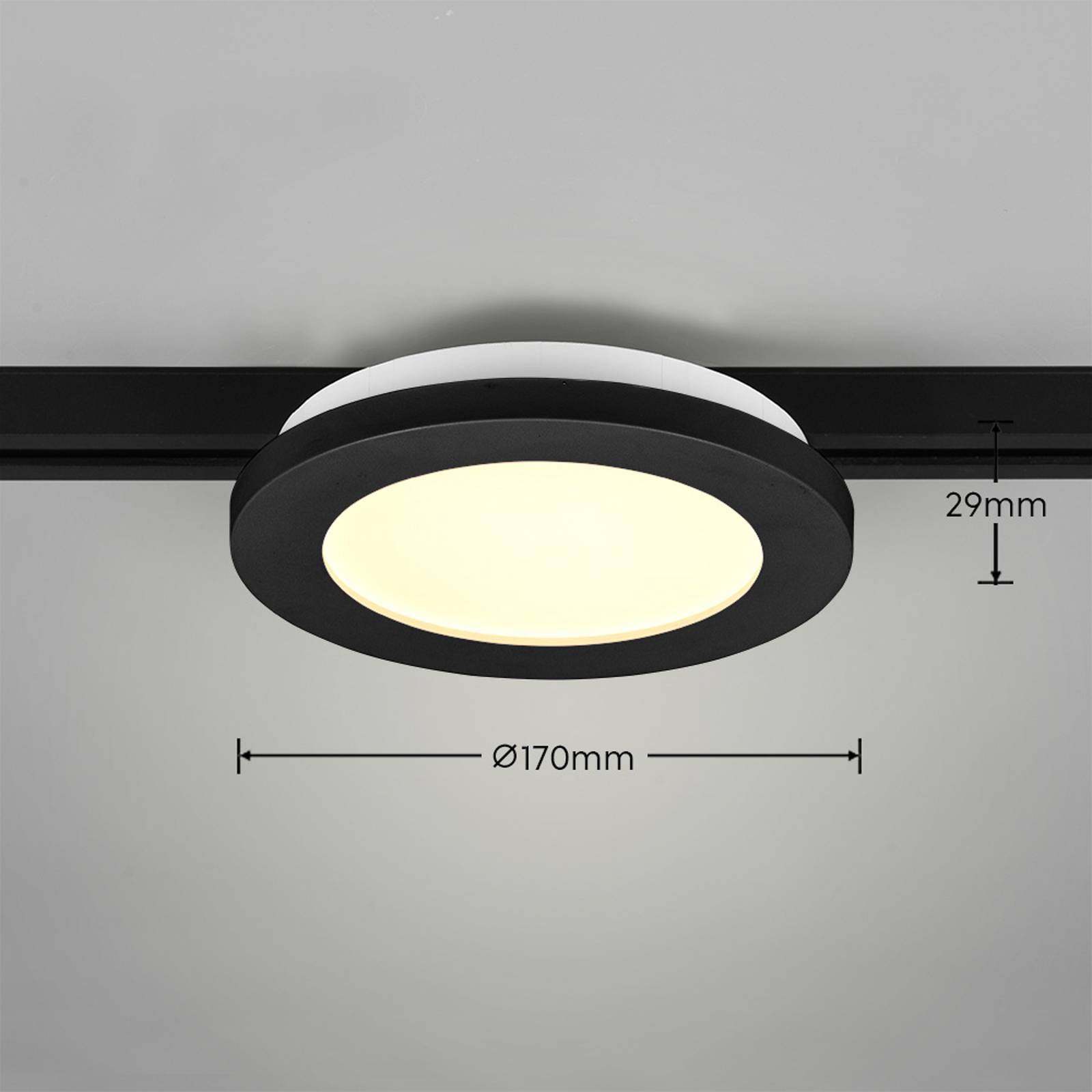 LED-Deckenlampe Camillus DUOline, Ø 17 cm, schwarz von Trio Lighting