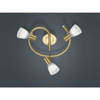 Trio - led Deckenstrahler levisto 3-flammig Messing Glasschirme schwenkbar, ø 30cm von Trio