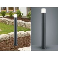 Trio Lighting - Pollerleuchte hoosic Wegeleuchte aus Aluminium in Anthrazit, Höhe 80 cm von TRIO LIGHTING