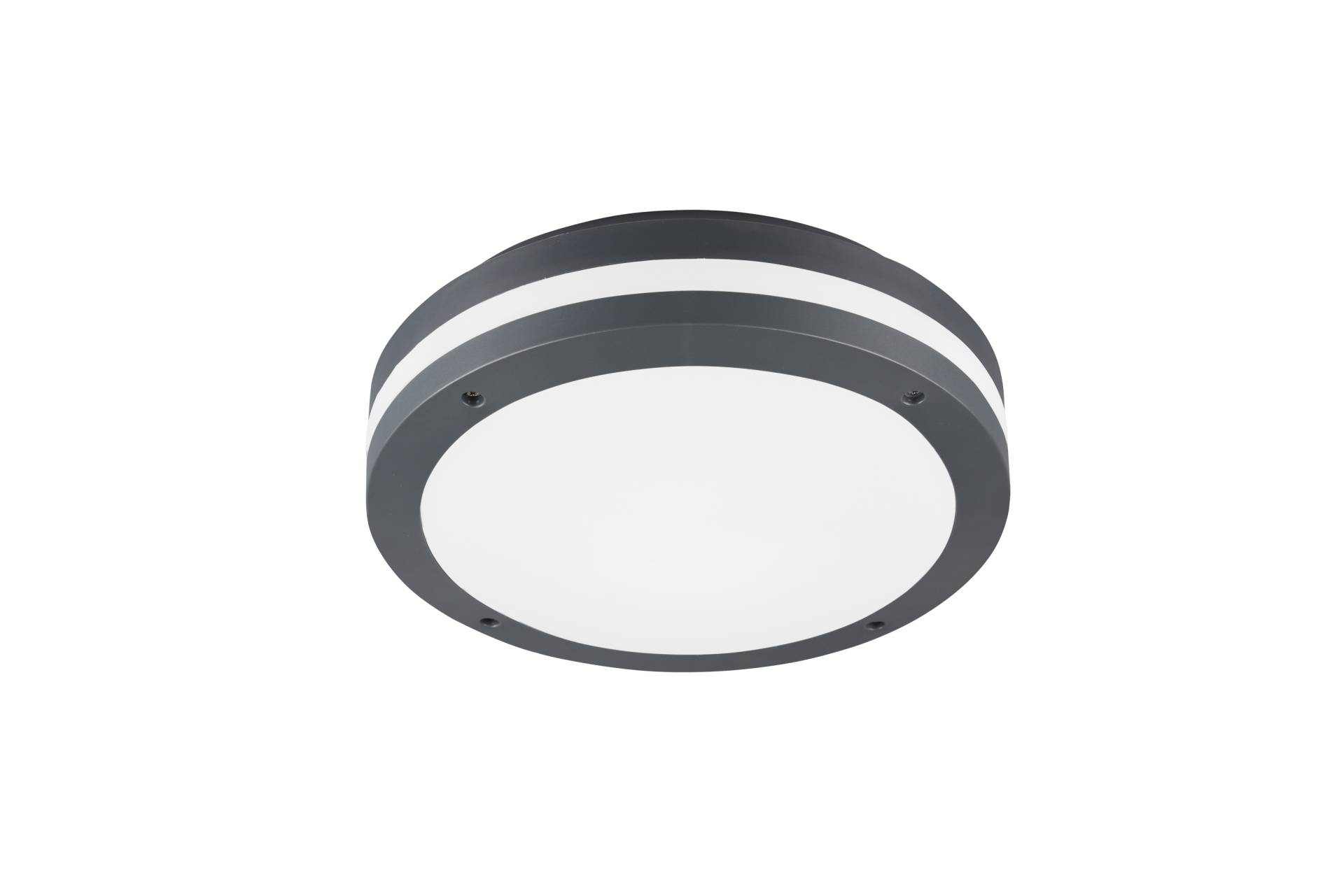 Trio LED-Deckenleuchte PIAVE 1-flammig in Farbe anthrazit, Kunststoff weiß Trio LED-Deckenleuchte PIAVE 1-flammig in Farbe anthrazit, Kunststoff weiß von Trio