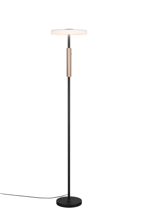 Trio LED-Stehleuchte CELESTE 1-flammig in Farbe Coffee, Glas weiß Trio LED-Stehleuchte CELESTE 1-flammig in Farbe Coffee, Glas weiß von Trio