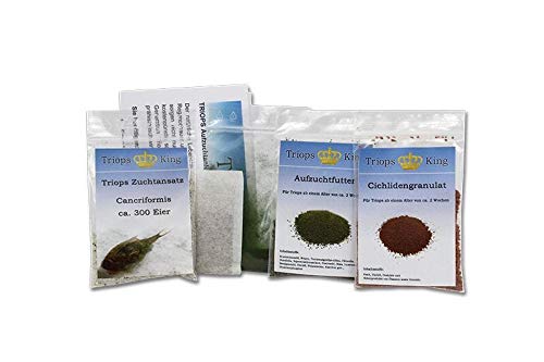 Triops Cancriformis Urzeitkrebse Starter Set Ultra mit ca. 300 Urzeitkrebs-Eiern / Zysten von Triops King aus Deutschland, Anleitung zur Zucht und Jungtier-Futter und viel Futter - Züchte jetzt deine eigenen Urzeitkrebse Triops Cancriformis Urzeitkrebse Starter Set Ultra mit ca. 300 Urzeitkrebs-Eiern / Zysten von Triops King aus Deutschland, Anleitung zur Zucht und Jungtier-Futter und viel Futter - Züchte jetzt deine eigenen Urzeitkrebse von Triops King