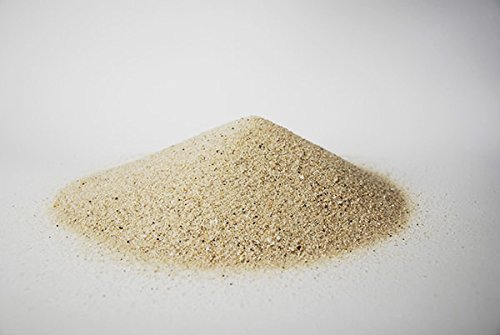 Triops King Aquarienkies für Urzeitkrebse 1 Kilogramm Triops King Aquarienkies für Urzeitkrebse 1 Kilogramm von Triops King