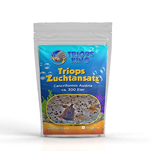 Triops King Triops Cancriformis Zuchtansatz mit ca. 300 Urzeitkrebs-Eiern/Zysten Deutschland - Züchte jetzt Deine eigenen Urzeitkrebse Triops King Triops Cancriformis Zuchtansatz mit ca. 300 Urzeitkrebs-Eiern/Zysten Deutschland - Züchte jetzt Deine eigenen Urzeitkrebse von Triops King