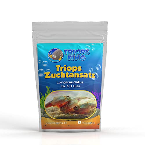 Longicaudatus Zuchtansatz mit ca. 50 Urzeitkrebs-Eiern/Zysten von Triops King aus Deutschland - Züchte deine eigenen Urzeitkrebse bei dir zu Hause im Aquarium Longicaudatus Zuchtansatz mit ca. 50 Urzeitkrebs-Eiern/Zysten von Triops King aus Deutschland - Züchte deine eigenen Urzeitkrebse bei dir zu Hause im Aquarium von Triops King