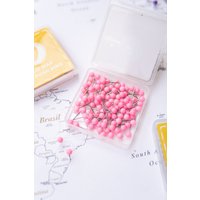 Landkarte Pins Rose/Rosa - Rundkopf-Tacker Mit Edelstahlspitze Matte Oberfläche Markiernadeln 100 Stück von TripMap
