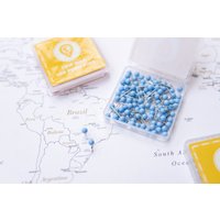 Map Pins Hellblau - Runde Kopf-Tacker Mit Edelstahlspitze Matte Oberfläche Marking 100 Stück von TripMap