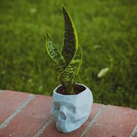 Übertopf - Totenkopf 3D Gedruckt von TripleTangoCustoms