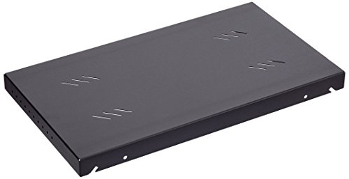 DIGITAL DATA RAB-UP-250-A3 19 Fixed Shelf 1U/250mm Gehäuse von Triton