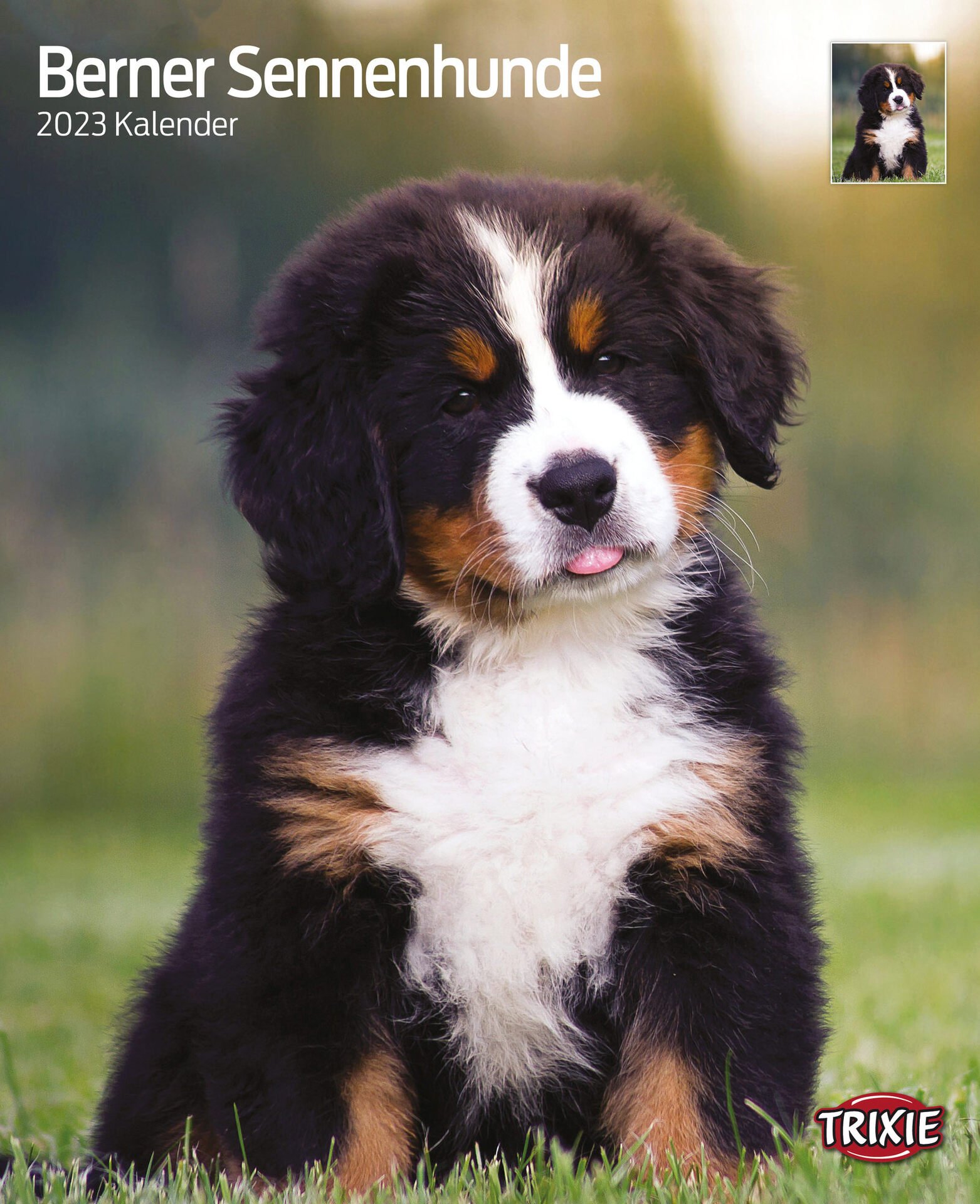 Kalender Berner Sennenhunde Kalender Berner Sennenhunde von Trixie