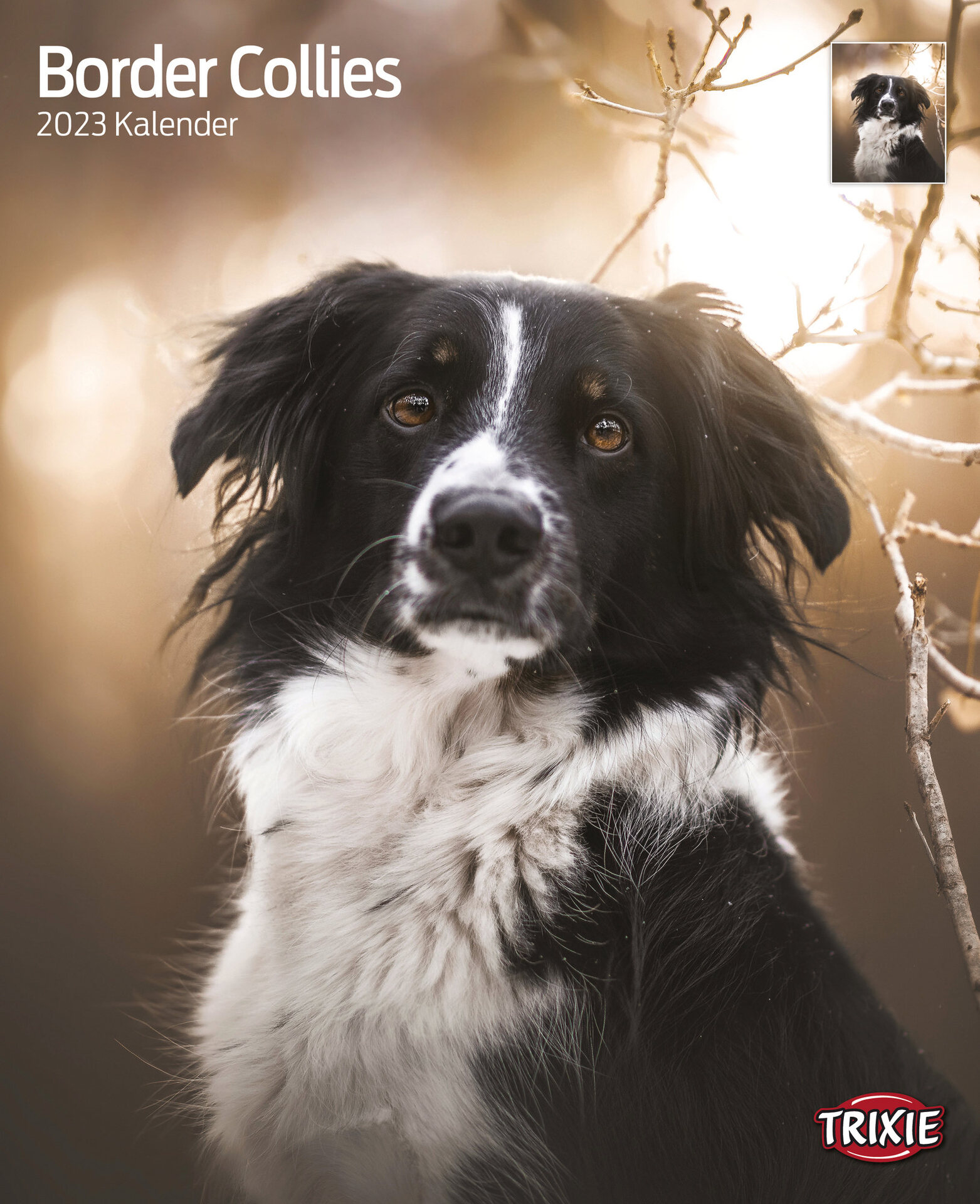 Kalender Border Collies Kalender Border Collies von Trixie