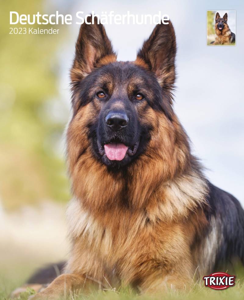 Kalender Deutsche Schäferhunde Kalender Deutsche Schäferhunde von Trixie