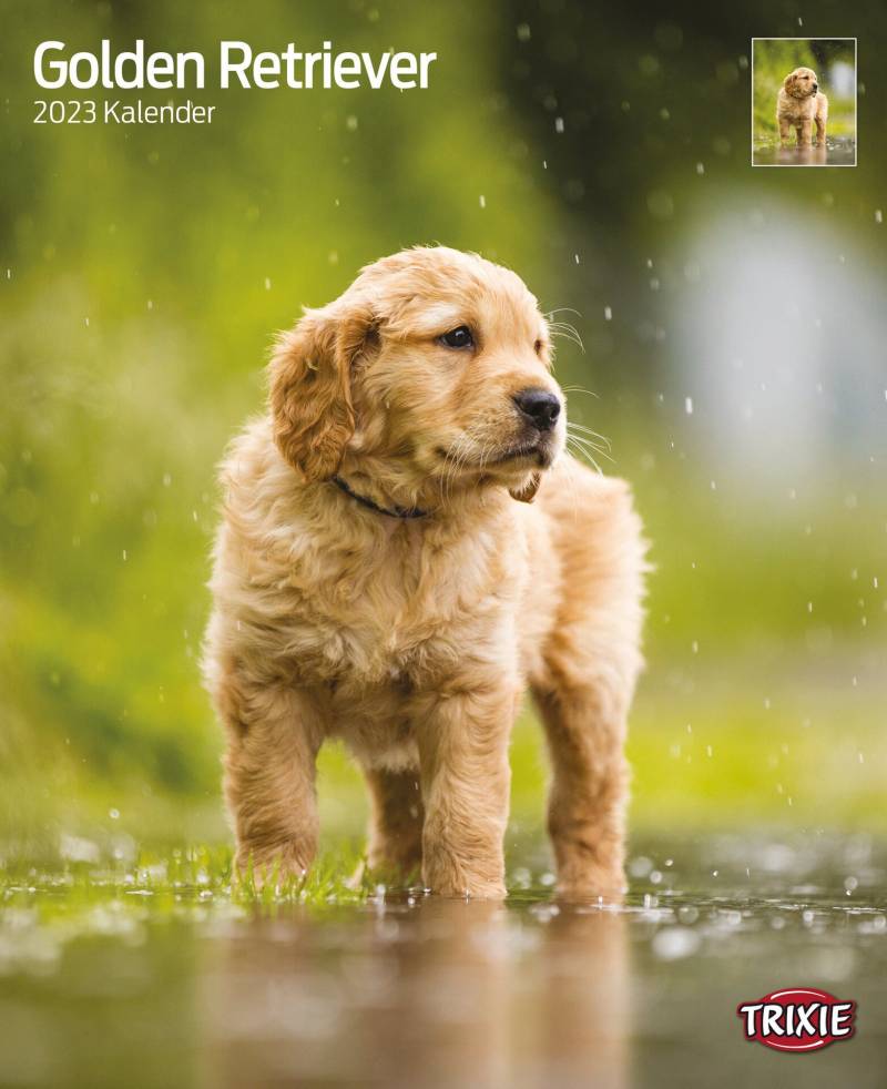 Kalender Golden Retriever Kalender Golden Retriever von Trixie