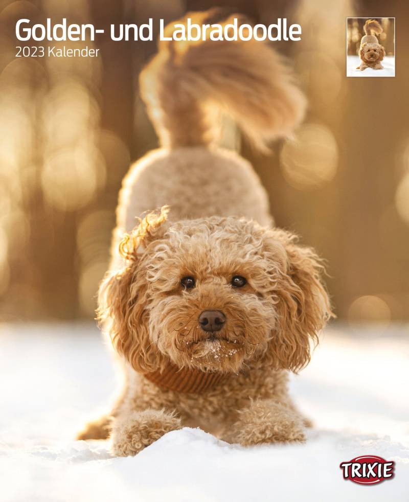 Kalender Golden-und Labradoodle Kalender Golden-und Labradoodle von Trixie