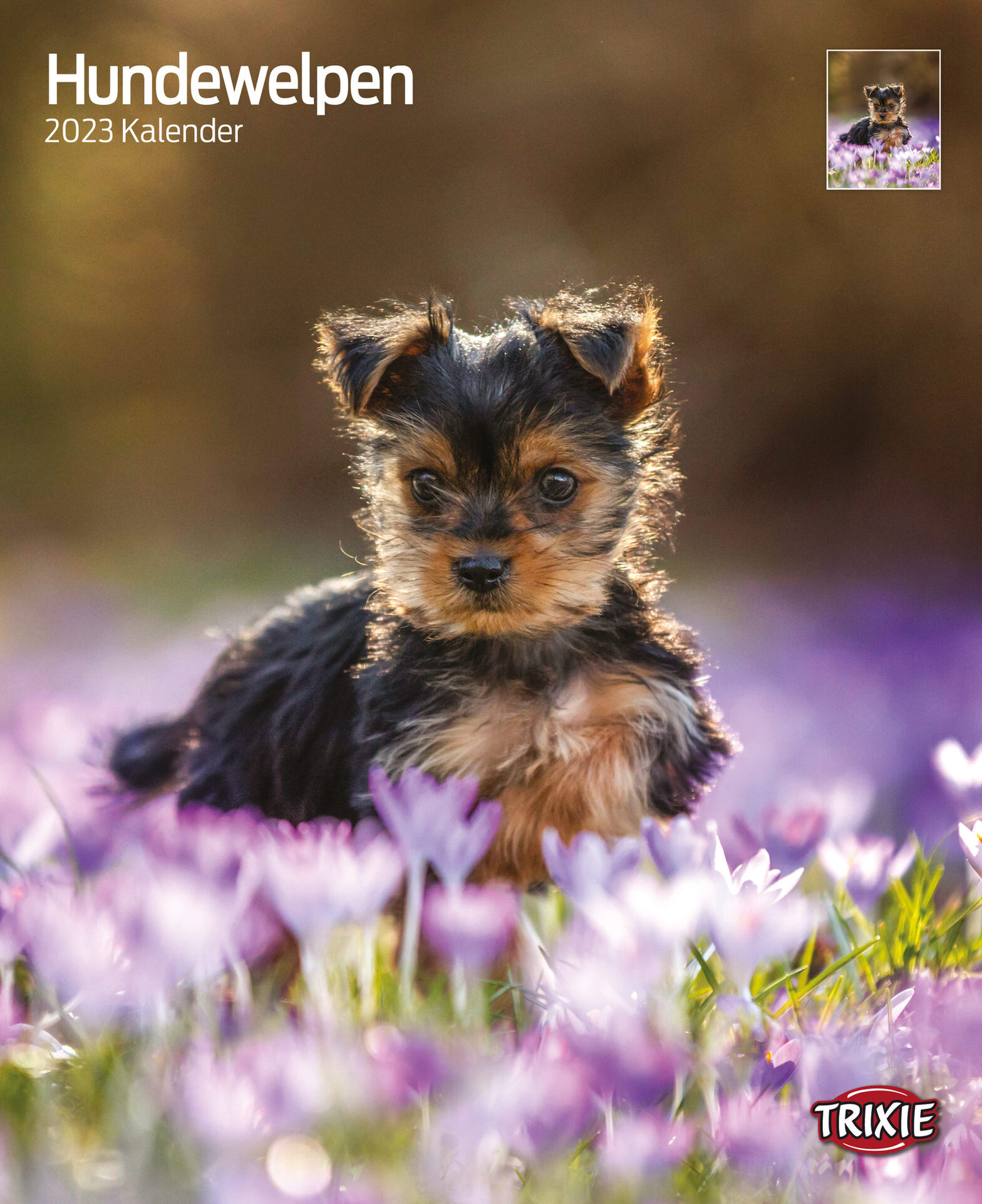 Kalender Hundewelpen Kalender Hundewelpen von Trixie