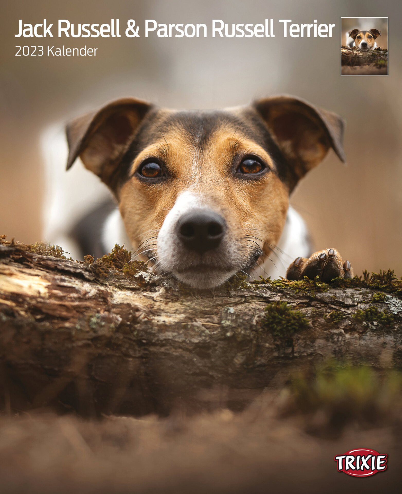 Kalender Jack Russell & Parson Russell Terrier Kalender Jack Russell & Parson Russell Terrier von Trixie