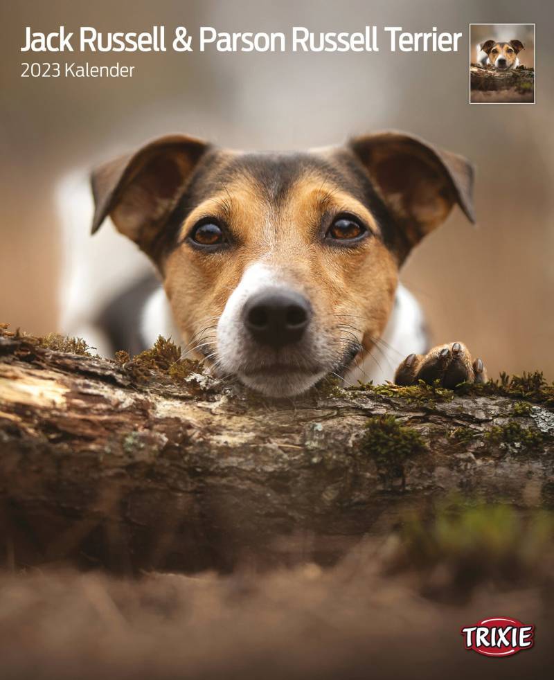 Kalender Jack Russell & Parson Russell Terrier Kalender Jack Russell & Parson Russell Terrier von Trixie
