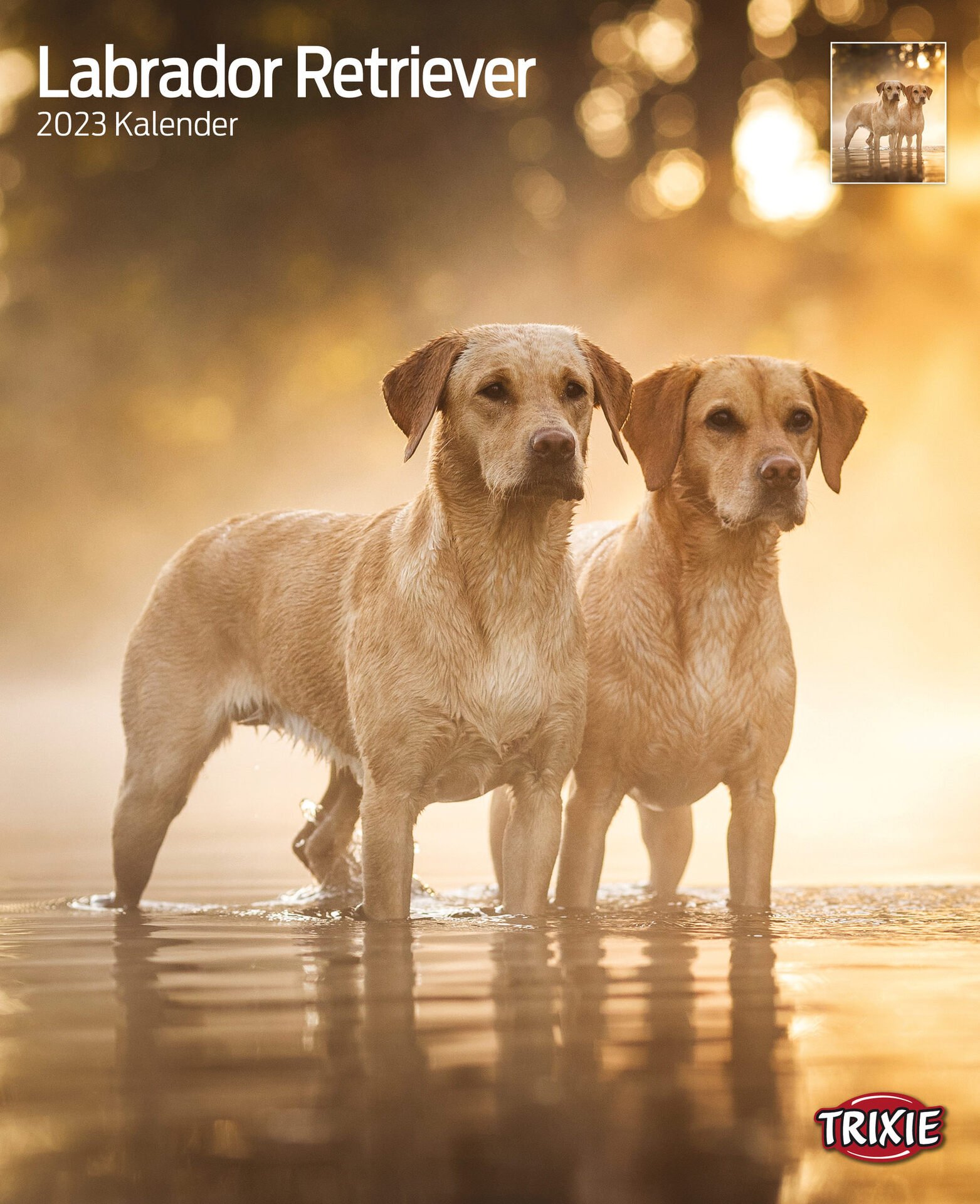 Kalender Labrador Retriever Kalender Labrador Retriever von Trixie