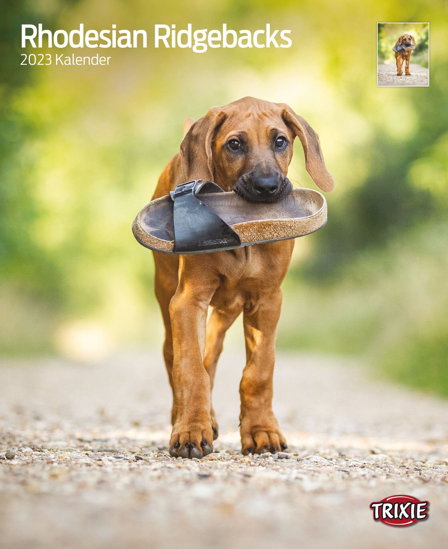 Kalender Rhodesian Ridgebacks Kalender Rhodesian Ridgebacks von Trixie