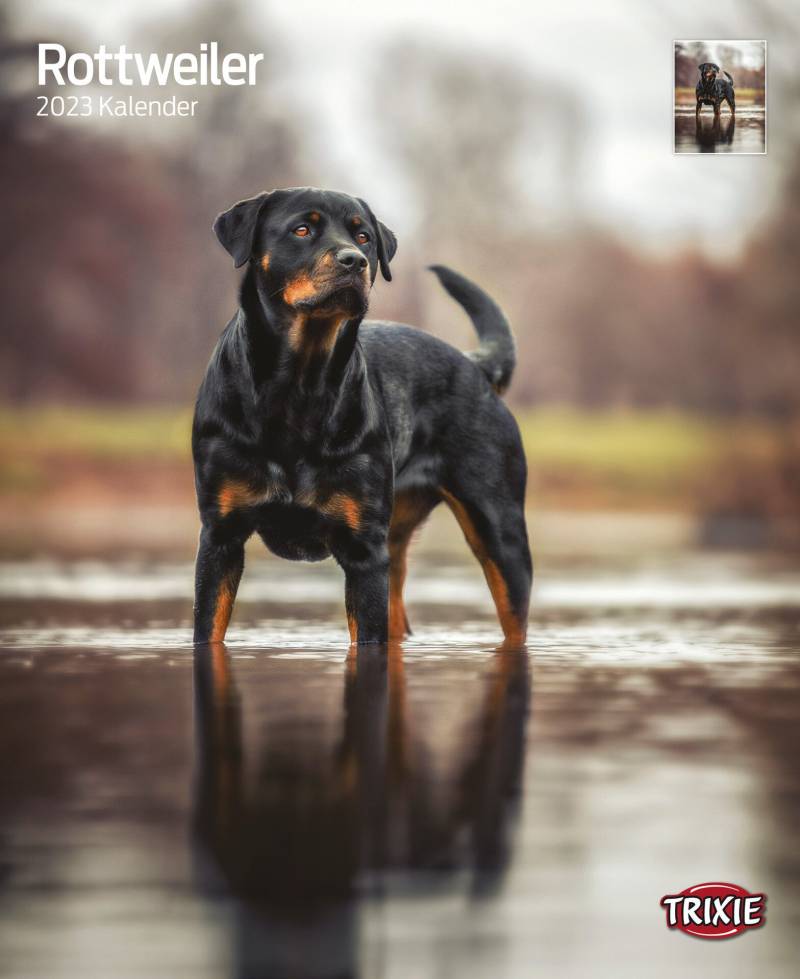 Kalender Rottweiler Kalender Rottweiler von Trixie