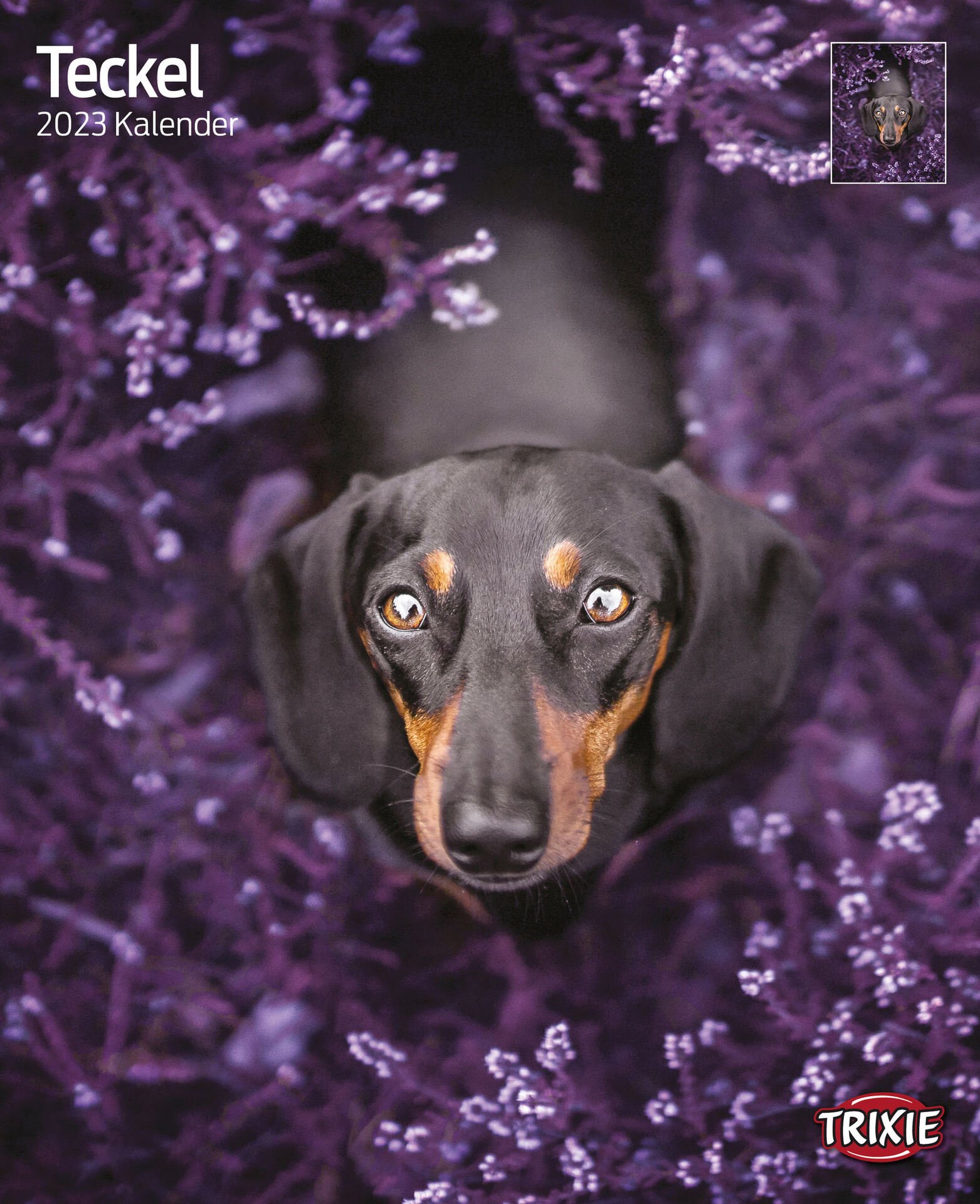 Kalender Teckel Kalender Teckel von Trixie