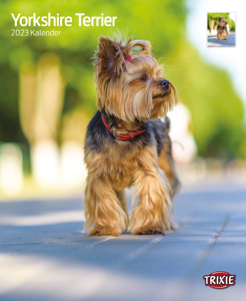 Kalender Yorkshire Terrier Kalender Yorkshire Terrier von Trixie