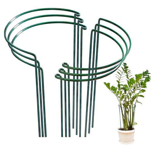 6 Stück Pflanze Stützpfähle, Metall Halbrunde Pflanzenstütze, Garten Unterstützt Pflanze Rankhilfe Blumenstütze Pflanzenhalter für Topfpflanzen Pfingstrosen Hortensien Gemüse (35x20cm) von Trlyane